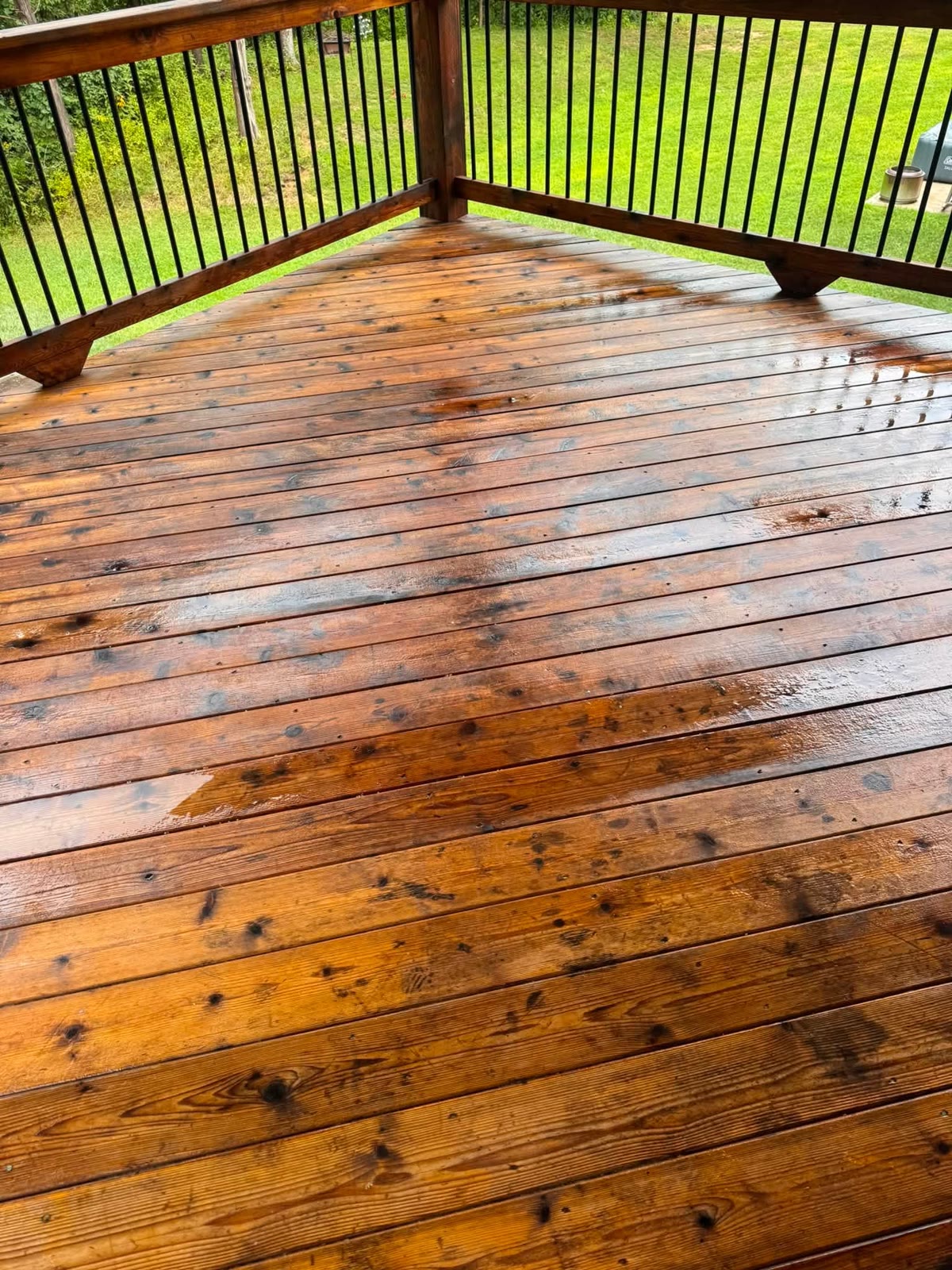 A cedar deck freshly washed, wet and rich in colour